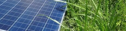 摆脱“杂草烦恼”：太阳能发电控草指南，滋长